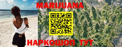 прущие грибы Ачхой-Мартан