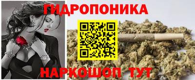 прущие грибы Ачхой-Мартан